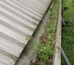 Happy customers in Oaklands who trust The Roof Moss Cleaners for gutter cleaning services